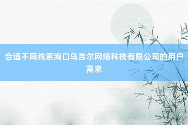 合适不同线索海口乌吉尔网络科技有限公司的用户需求