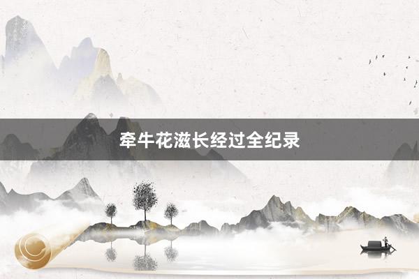 牵牛花滋长经过全纪录
